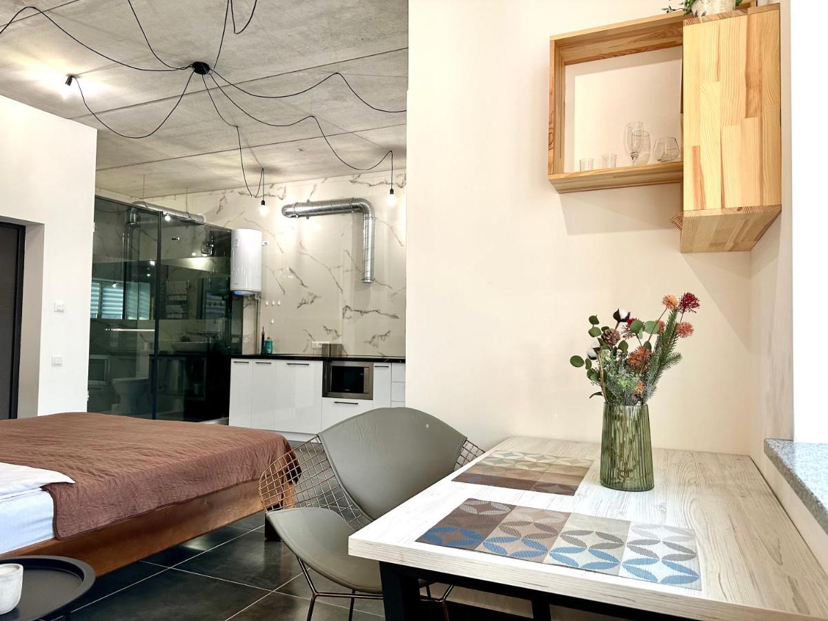 Designer Apartments In The City Center Rivne Extérieur photo